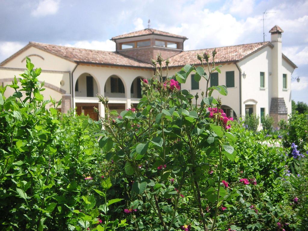 Agriturismo Due Torri Montebelluna Extérieur photo